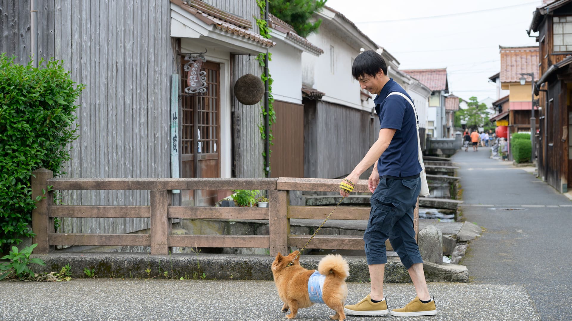 玉川沿いの趣ある町並みを散歩する様子