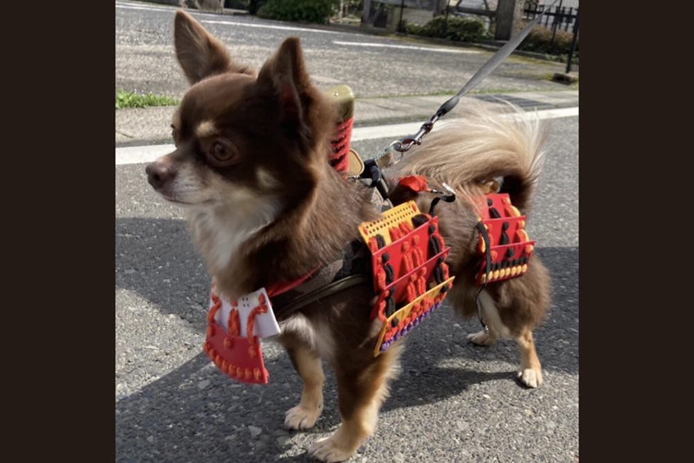 甲冑